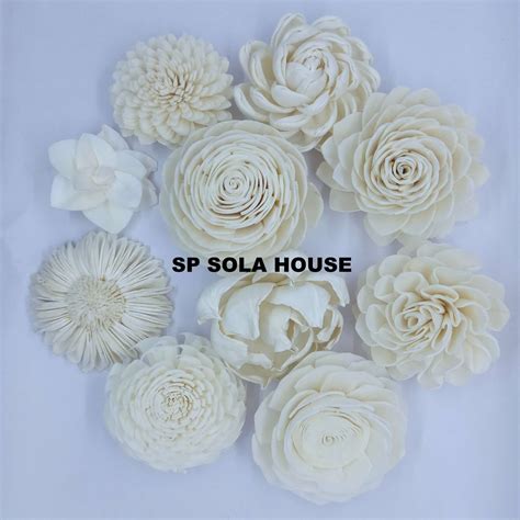 sola flowers|sola flowers reviews.